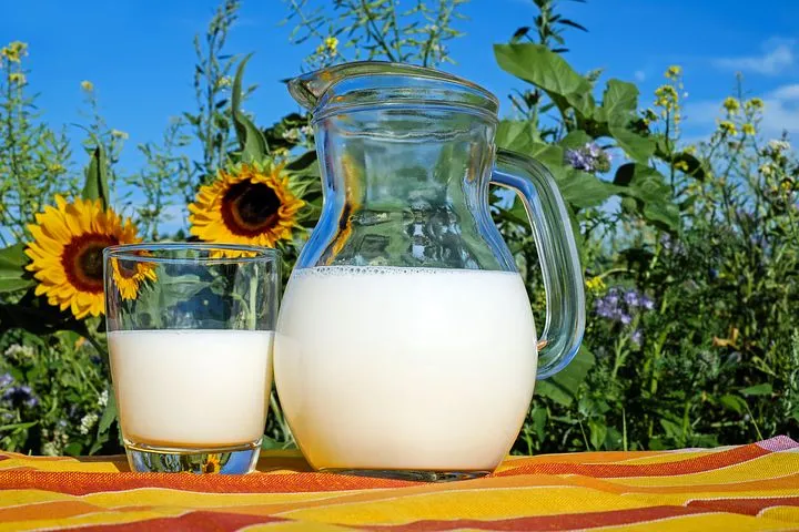 Фальсифицированное молоко поставляет Пятигорский молкомбинат в детсады Астраханской области 